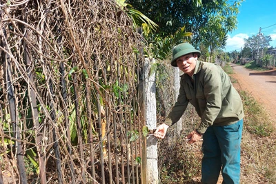 Chi nhánh Văn phòng Đăng ký đất đai huyện Chư Păh có nhũng nhiễu người dân?