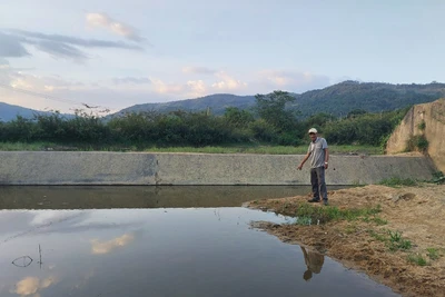 Chư Păh phát huy vai trò thủy nông viên