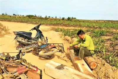 Vụ Quyền trưởng trạm kiểm lâm tử vong với 14 vết đạn: Hé lộ góc khuất giữ rừng