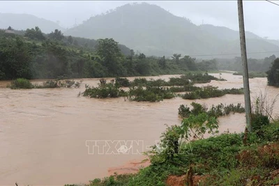 Kon Tum: Chủ động ứng phó với thiên tai