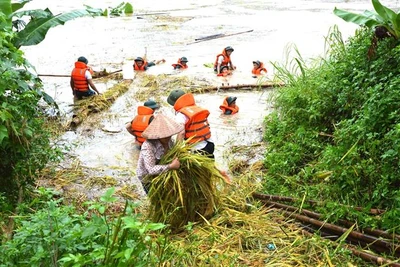 Tri ân những 'người hùng' trong hiểm nguy