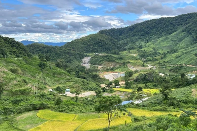 Quy hoạch vùng Tây Nguyên phát triển bền vững, có nền kinh tế xanh và tuần hoàn 