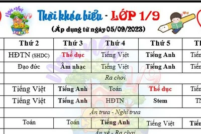 Điểm nóng giáo dục 2023: Bức xúc 'chèn môn tự nguyện vào chính khóa'