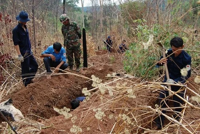 Bình yên vùng biên Đông Nam bộ - Bài 3: Vun đắp tình hữu nghị, cùng phát triển 