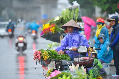 Thời tiết ngày 15/3: Bắc Bộ có mưa phùn, trời nồm ẩm