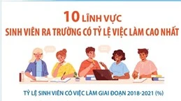 10 lĩnh vực sinh viên ra trường có tỷ lệ việc làm cao nhất