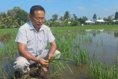 Chậm còn hơn không