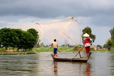 Cá đồng mùa lụt