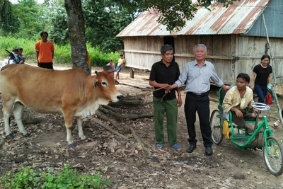 Tạo động lực để người khuyết tật hòa nhập cộng đồng