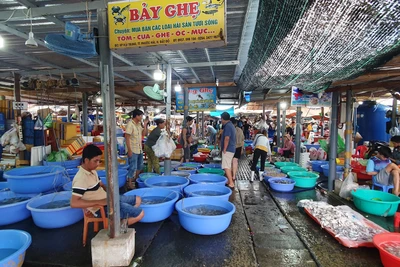 Tha hồ tắm biển, mua hải sản ở làng chài cách TP.HCM vài giờ chạy xe