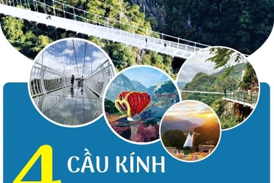 4 cây cầu kính ở Việt Nam