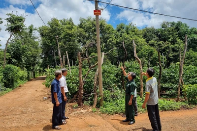 “Ánh sáng, camera và tiếng kẻng an ninh” góp phần bảo đảm bình yên thôn làng