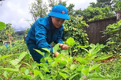 Dân quân thường trực sẵn sàng xử lý các tình huống phát sinh