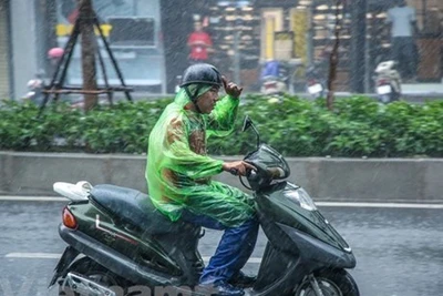 Trung Bộ, Tây Nguyên và Nam Bộ có mưa dông vào chiều tối và đêm