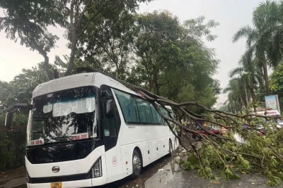 Người dân các tỉnh ven biển Quảng Ninh, Hải Phòng, Thái Bình, Nam Định và Ninh Bình tuyệt đối không ra ngoài khi mưa to, gió lớn