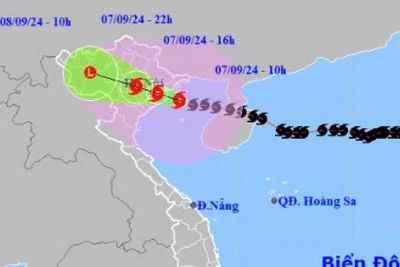 Cơ quan khí tượng lên tiếng trước thông tin 'bão số 3 đổi hướng'