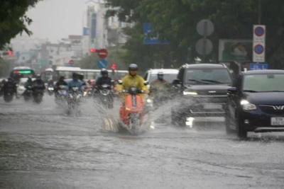 Ảnh hưởng bão số 3: TP HCM và Nam Bộ mưa to, gió giật mạnh