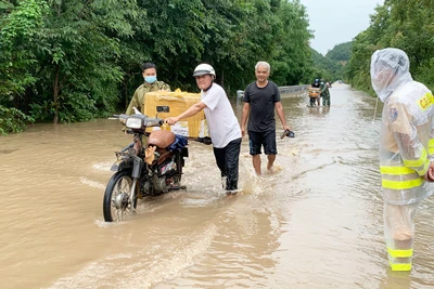 Ayun Pa chủ động ứng phó thiên tai