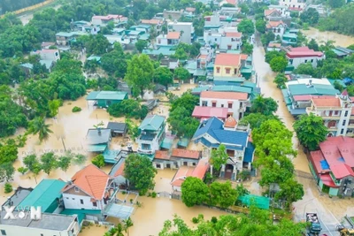 Từ ngày 14/6, Bắc Bộ có khả năng xuất hiện đợt mưa vừa, mưa to