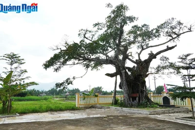 Qua miền đất... rồng