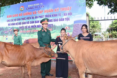 Sinh kế cho người dân vùng biên Gia Lai