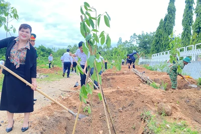 Trồng 250 cây kèn hồng tại khu vực Đài tưởng niệm liệt sĩ huyện Ia Pa 