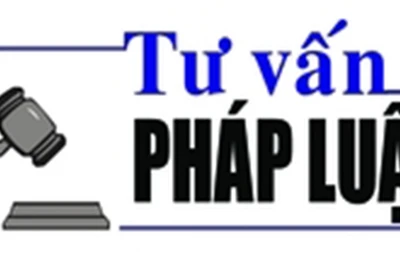 Luật sư Bùi Thanh Vũ tư vấn pháp luật liên quan đến việc trả lại tiền sính lễ sau khi hủy hôn