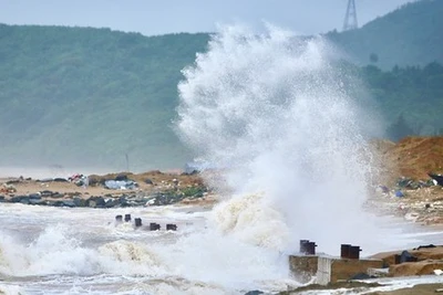 Đề nghị các nước hỗ trợ ngư dân, tàu thuyền Việt Nam tránh bão số 4