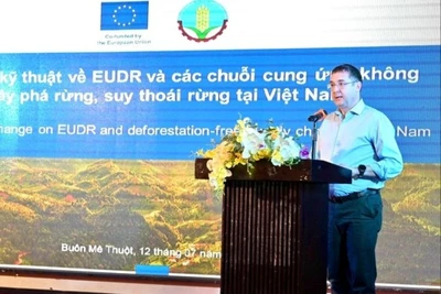 Nâng cao nhận thức về quy định không gây mất rừng của EU