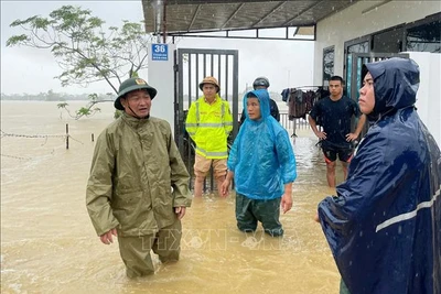 Những bông hoa nở trong giông bão