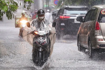 Khu vực Tây Nguyên và Nam Bộ có mưa, cục bộ có nơi mưa to đến rất to