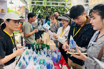 Gia Lai Coffee Festival: Kết nối hệ sinh thái từ nông trại tới ly cà phê