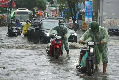 Khu vực Nam Trung Bộ và Tây Nguyên có mưa to cục bộ về chiều và tối