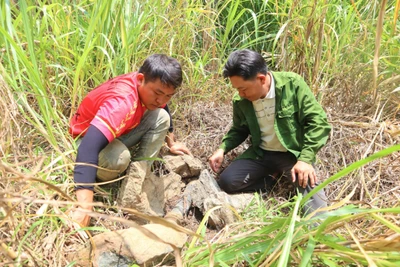 Những đảng viên “hào phóng” với buôn làng - Kỳ 1: “Kỳ tích” dòng nước mát lành trên đỉnh Cư Tông