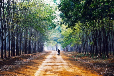 Đừng vội nản lòng