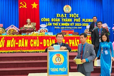 Đại hội Công đoàn cơ sở nhiệm kỳ 2023-2028: Gia Lai vượt tiến độ so với toàn quốc 