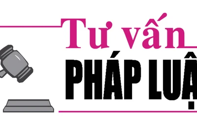 Luật sư Bùi Thanh Vũ trả lời về việc thuê mướn người khác hay doanh nghiệp đòi nợ thuê 