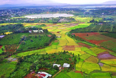 Sự tương hợp về mỹ quan và ngoại cảnh Pleiku