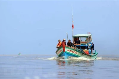 Thủ tướng ra Công điện tập trung thực hiện các nhiệm vụ, giải pháp chống khai thác hải sản bất hợp pháp 