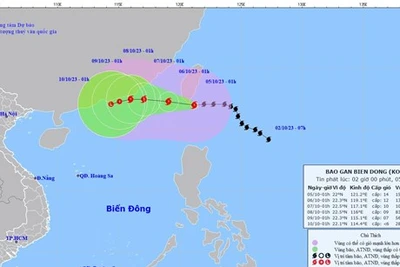 Bão Koinu có gió mạnh cấp 14, giật cấp 17, biển động dữ dội