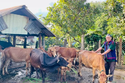 “Hạt nhân” phát triển kinh tế ở Ia Dơk