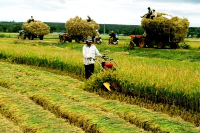 Phát triển kinh tế nông thôn gắn với mục tiêu nông nghiệp sinh thái