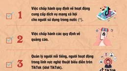 [Infographics] Tám vấn đề chính TikTok Việt Nam sẽ bị kiểm tra