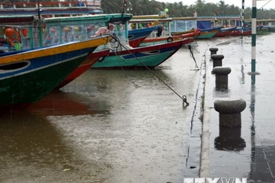 Chủ động ứng phó với vùng áp thấp có khả năng mạnh lên thành áp thấp