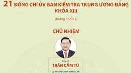 21 đồng chí trong Ủy ban Kiểm tra Trung ương Đảng khóa XIII 