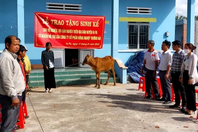 Trao 10 con bò sinh sản cho các hộ nghèo tại xã Kim Tân và Pờ Tó