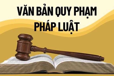 Bổ sung thành viên Ban chỉ đạo rà soát, xử lý vướng mắc trong hệ thống văn bản quy phạm pháp luật