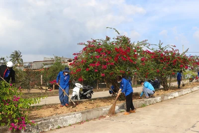 Tuổi trẻ An Khê chung tay thắp sáng đường giao thông