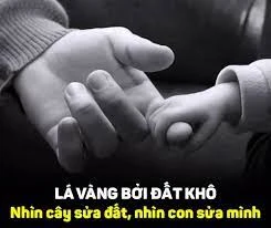 Nhìn con sửa mình