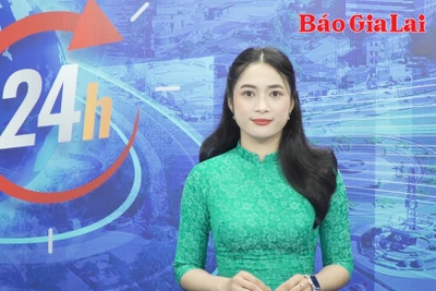 Gia Lai 24h: Gia Lai đạt được nhiều thành tựu quan trọng trên tất cả các lĩnh vực